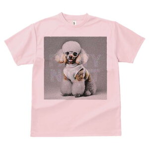 v[h TVc  j[NfUCY LbY t@  t vg lJWA 킢 lԗp Mtg I ҏ΍ Kl v[h 