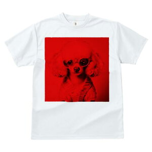 v[h TVc  j[NfUCfB[X t@  t vg lJWA 킢 lԗp Mtg I ҏ΍ Kl v[h [u