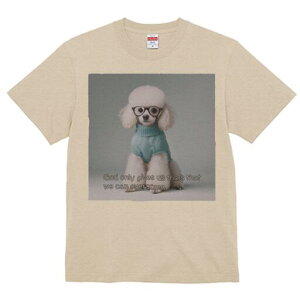 v[h TVc  j[NfUCY LbY t@  t vg lJWA 킢 lԗp Mtg I ҏ΍ Z[^[ v[h Kl