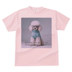 v[h TVc  j[NfUCfB[X t@  t vg lJWA 킢 lԗp Mtg I ҏ΍ Z[^[ v[h Kl