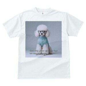 v[h TVc  j[NfUCfB[X t@  t vg lJWA 킢 lԗp Mtg I ҏ΍ Z[^[ v[h Kl