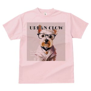 EGXgnChzCgeA TVc  j[NfUCfB[X t@  t vg lJWA 킢 lԗp Mtg I ҏ΍ Kl EGXgnC