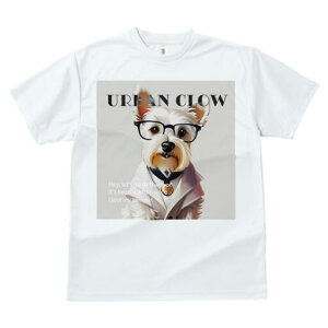 EGXgnChzCgeA TVc  j[NfUCY LbY t@  t vg lJWA 킢 lԗp Mtg I ҏ΍ Kl EGXgn