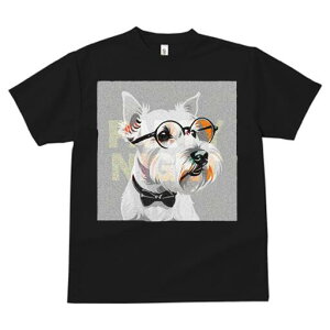 EGXgnChzCgeA TVc  j[NfUCY LbY t@  t vg lJWA 킢 lԗp Mtg I ҏ΍ Kl EGXgn