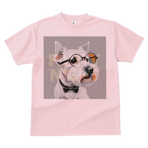 EGXgnChzCgeA TVc  j[NfUCfB[X t@  t vg lJWA 킢 lԗp Mtg I ҏ΍ Kl EGXgnC