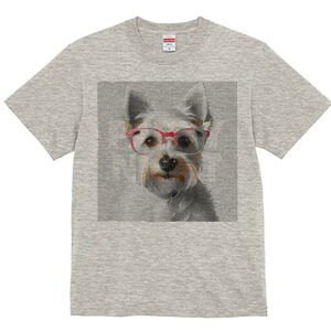 EGXgnChzCgeA TVc  j[NfUCfB[X t@  t vg lJWA 킢 lԗp Mtg I ҏ΍ Kl EGXgnC