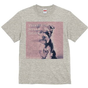 [NV[eA TVc  j[NfUCfB[X t@  t vg lJWA 킢 lԗp Mtg I ҏ΍ Kl [NV[eA