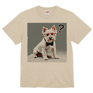 EGXgnChzCgeA TVc  j[NfUCY LbY t@  t vg lJWA 킢 lԗp Mtg I ҏ΍ Kl EGXgn