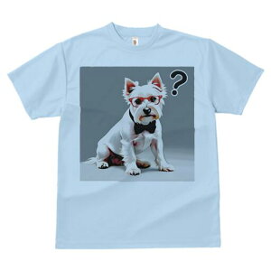 EGXgnChzCgeA TVc  j[NfUCfB[X t@  t vg lJWA 킢 lԗp Mtg I ҏ΍ Kl EGXgnC