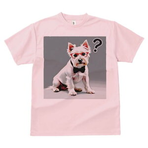 EGXgnChzCgeA TVc  j[NfUCfB[X t@  t vg lJWA 킢 lԗp Mtg I ҏ΍ Kl EGXgnC