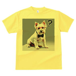 EGXgnChzCgeA TVc  j[NfUCY LbY t@  t vg lJWA 킢 lԗp Mtg I ҏ΍ Kl EGXgn