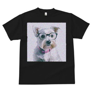 ~j`AViEU[ TVc  j[NfUCY LbY t@  t vg lJWA 킢 lԗp Mtg I ҏ΍ Kl ~j`AViEU