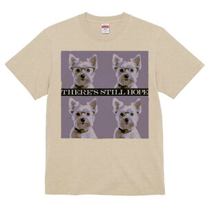 EGXgnChzCgeA TVc  j[NfUCfB[X t@  t vg lJWA 킢 lԗp Mtg I ҏ΍ Kl EGXgnC