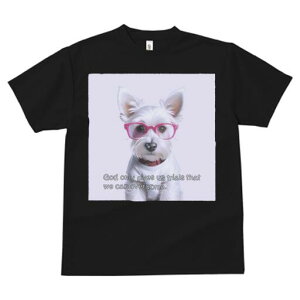 EGXgnChzCgeA TVc  j[NfUCfB[X t@  t vg lJWA 킢 lԗp Mtg I ҏ΍ Kl EGXgnC