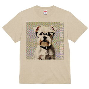 EGXgnChzCgeA TVc  j[NfUCY LbY t@  t vg lJWA 킢 lԗp Mtg I ҏ΍ Kl EGXgn