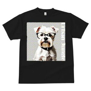 EGXgnChzCgeA TVc  j[NfUCY LbY t@  t vg lJWA 킢 lԗp Mtg I ҏ΍ Kl EGXgn