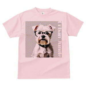 EGXgnChzCgeA TVc  j[NfUCfB[X t@  t vg lJWA 킢 lԗp Mtg I ҏ΍ Kl EGXgnC