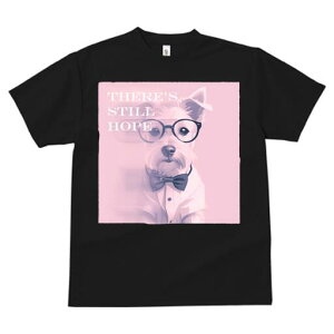 EGXgnChzCgeA TVc  j[NfUCfB[X t@  t vg lJWA 킢 lԗp Mtg I ҏ΍ lN^C EGXgn