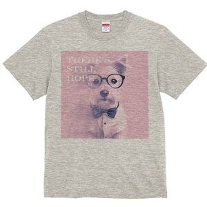 EGXgnChzCgeA TVc  j[NfUCfB[X t@  t vg lJWA 킢 lԗp Mtg I ҏ΍ lN^C EGXgn