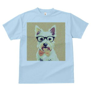 EGXgnChzCgeA TVc  j[NfUCY LbY t@  t vg lJWA 킢 lԗp Mtg I ҏ΍ Kl EGXgn