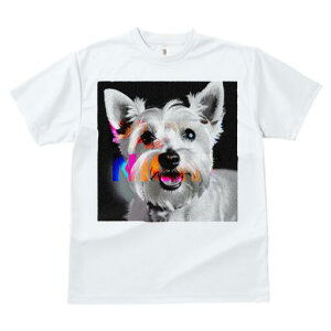 EGXgnChzCgeA TVc  j[NfUCfB[X t@  t vg lJWA 킢 lԗp Mtg I ҏ΍ EGXgnChz