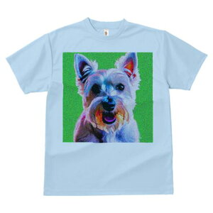 EGXgnChzCgeA TVc  j[NfUCfB[X t@  t vg lJWA 킢 lԗp Mtg I ҏ΍ EGXgnChz