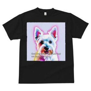 EGXgnChzCgeA TVc  j[NfUCfB[X t@  t vg lJWA 킢 lԗp Mtg I ҏ΍ EGXgnChz