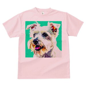 ~j`AViEU[ TVc  j[NfUCfB[X t@  t vg lJWA 킢 lԗp Mtg I ҏ΍ ~j`AViEU[