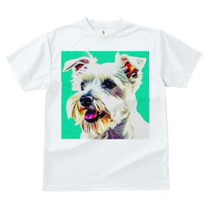 ~j`AViEU[ TVc  j[NfUCfB[X t@  t vg lJWA 킢 lԗp Mtg I ҏ΍ ~j`AViEU[