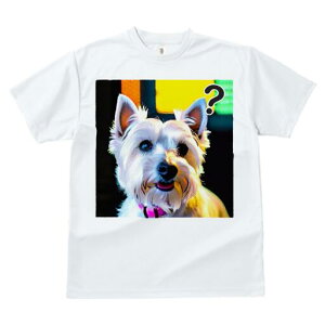 EGXgnChzCgeA TVc  j[NfUCfB[X t@  t vg lJWA 킢 lԗp Mtg I ҏ΍ EGXgnChz