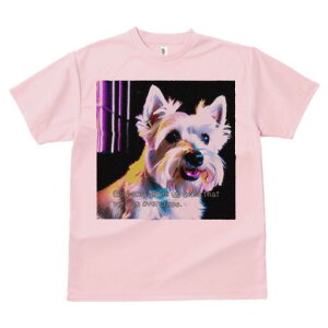 �E�G�X�g�n�C�����h�z���C�g�e���A T�V���c ���� ���j�[�N�f�U�C�����f�B�[�X ���t�@�� ���� �t�� �v�����g ��l�J�W���A�� ���킢�� �l�ԗp �M�t�g ���I �ҏ��΍� �E�G�X�g�n�C�����h�z