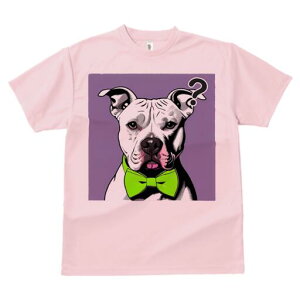 AJsbgueA TVc  j[NfUCfB[X t@  t vg lJWA 킢 lԗp Mtg I ҏ΍ lN^C AJsbg