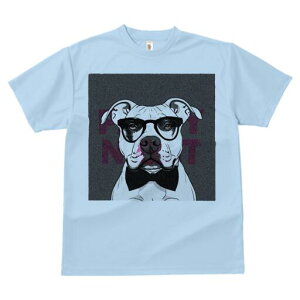 AJsbgueA TVc  j[NfUCY LbY t@  t vg lJWA 킢 lԗp Mtg I ҏ΍ Kl AJsbg