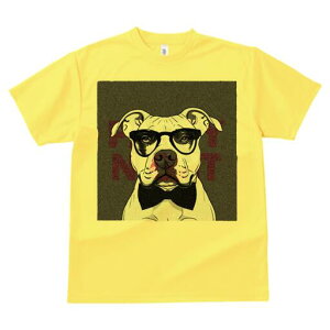 AJsbgueA TVc  j[NfUCY LbY t@  t vg lJWA 킢 lԗp Mtg I ҏ΍ Kl AJsbg