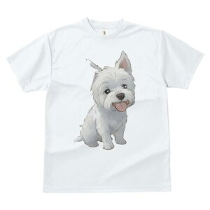 EGXgnChzCgeA TVc  j[NfUCfB[X t@  t vg lJWA 킢 lԗp Mtg I ҏ΍ EGXgnChz