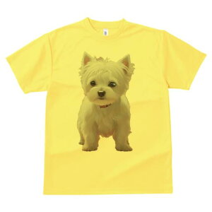 EGXgnChzCgeA TVc  j[NfUCfB[X t@  t vg lJWA 킢 lԗp Mtg I ҏ΍  EGXgnCh