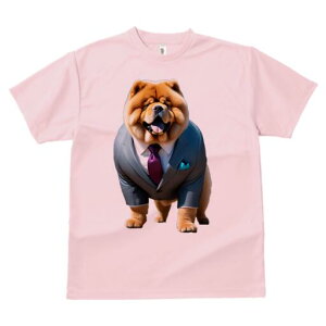 `E`E TVc  j[NfUCfB[X t@  t vg lJWA 킢 lԗp Mtg I ҏ΍ X[c `E`E lN^C |Pbg`[