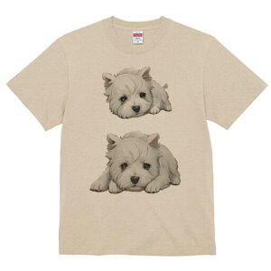 EGXgnChzCgeA TVc  j[NfUCfB[X t@  t vg lJWA 킢 lԗp Mtg I ҏ΍ EGXgnChz