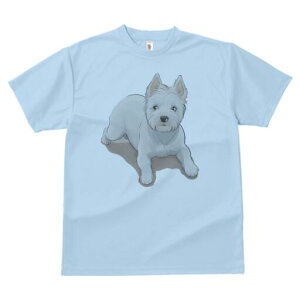 EGXgnChzCgeA TVc  j[NfUCfB[X t@  t vg lJWA 킢 lԗp Mtg I ҏ΍ EGXgnChz