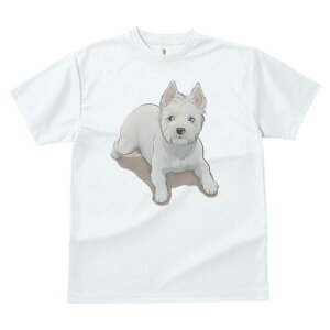 EGXgnChzCgeA TVc  j[NfUCfB[X t@  t vg lJWA 킢 lԗp Mtg I ҏ΍ EGXgnChz