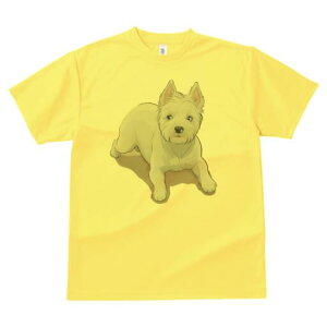 EGXgnChzCgeA TVc  j[NfUCfB[X t@  t vg lJWA 킢 lԗp Mtg I ҏ΍ EGXgnChz