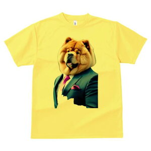 `E`E TVc  j[NfUCfB[X t@  t vg lJWA 킢 lԗp Mtg I ҏ΍ X[c `E`E lN^C |Pbg`[