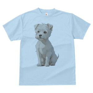 EGXgnChzCgeA TVc  j[NfUCfB[X t@  t vg lJWA 킢 lԗp Mtg I ҏ΍ EGXgnChz