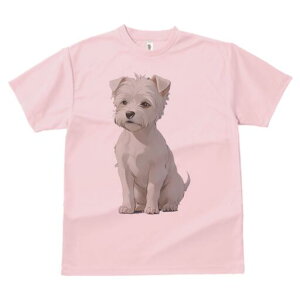 EGXgnChzCgeA TVc  j[NfUCfB[X t@  t vg lJWA 킢 lԗp Mtg I ҏ΍ EGXgnChz