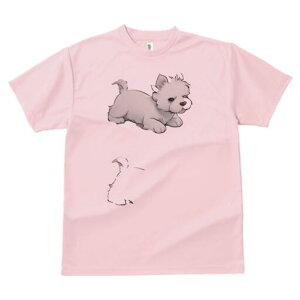 EGXgnChzCgeA TVc  j[NfUCfB[X t@  t vg lJWA 킢 lԗp Mtg I ҏ΍ EGXgnChz