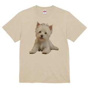 EGXgnChzCgeA TVc  j[NfUCfB[X t@  t vg lJWA 킢 lԗp Mtg I ҏ΍ EGXgnChz