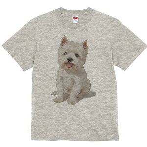 EGXgnChzCgeA TVc  j[NfUCfB[X t@  t vg lJWA 킢 lԗp Mtg I ҏ΍ EGXgnChz