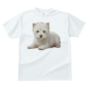 EGXgnChzCgeA TVc  j[NfUCfB[X t@  t vg lJWA 킢 lԗp Mtg I ҏ΍ EGXgnChz