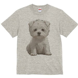 }`[Y TVc  j[NfUCfB[X t@  t vg lJWA 킢 lԗp Mtg I ҏ΍ 킢 }`[Y L[g ybg q