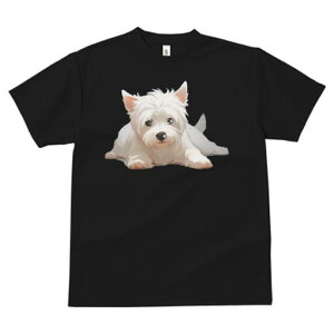 EGXgnChzCgeA TVc  j[NfUCfB[X t@  t vg lJWA 킢 lԗp Mtg I ҏ΍ EGXgnChz